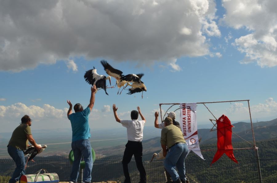 Göçmen kuşlar doğaya bırakıldı