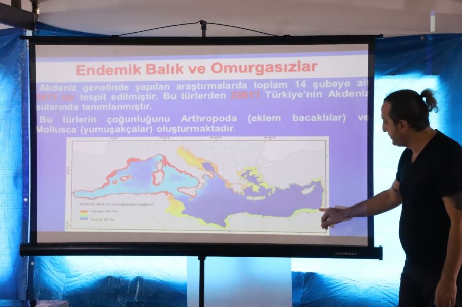 Balıkçılara 