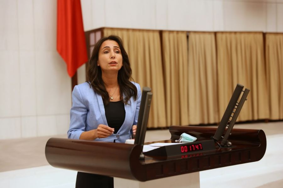 Termiğin zararlarına 