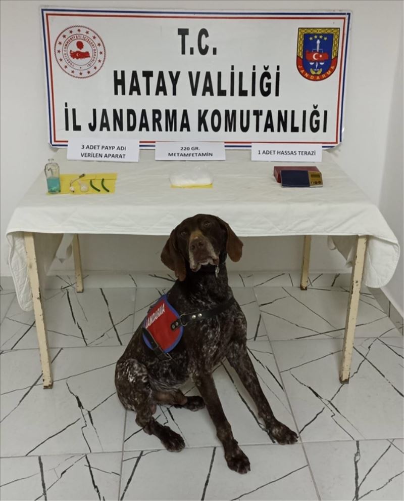 Uyuşturucuya tutuklama