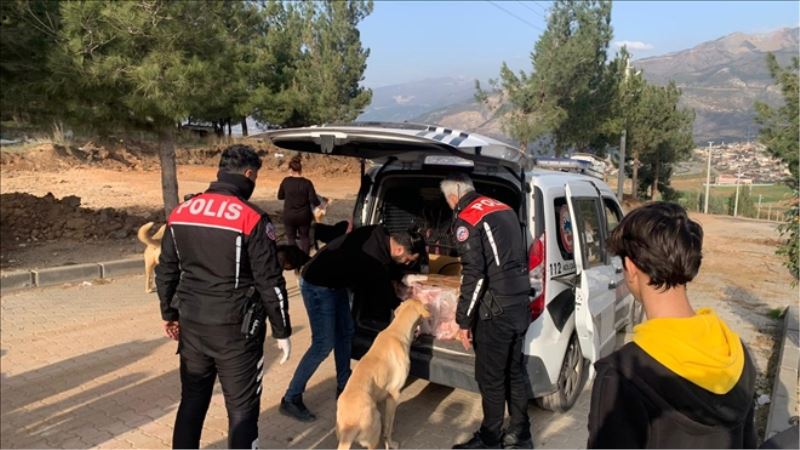Polisten sokak hayvanlarına mama