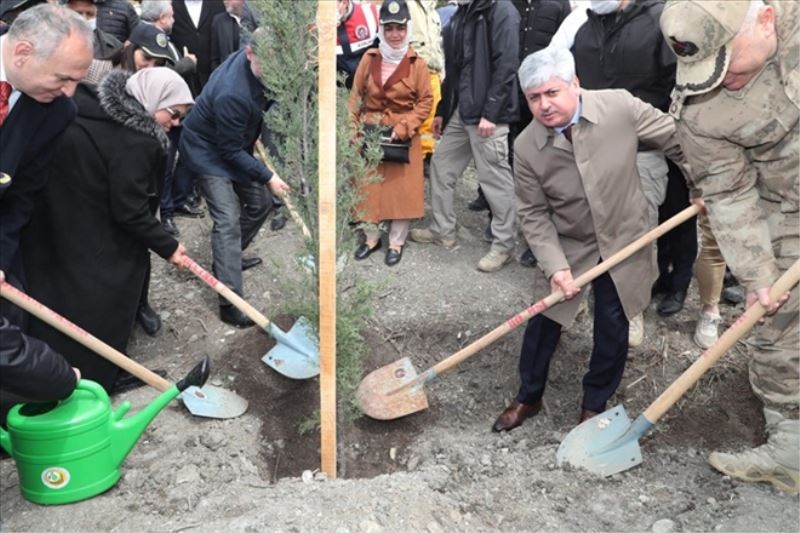 Şehit astsubay Gedik adına ´hatıra ormanı´