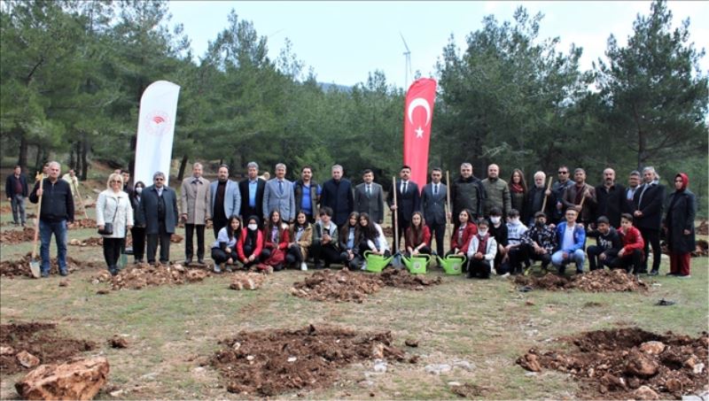 Liseden hatıra ormanı