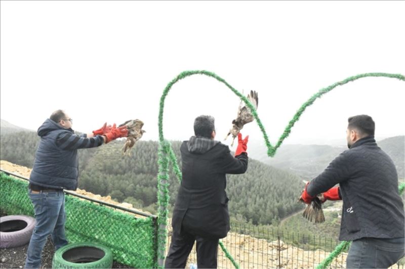 Kızıl Şahinlerin tedavileri tamamlandı