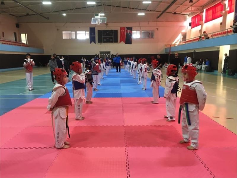 Taekwandocular turnuvada eksiklerini gördü