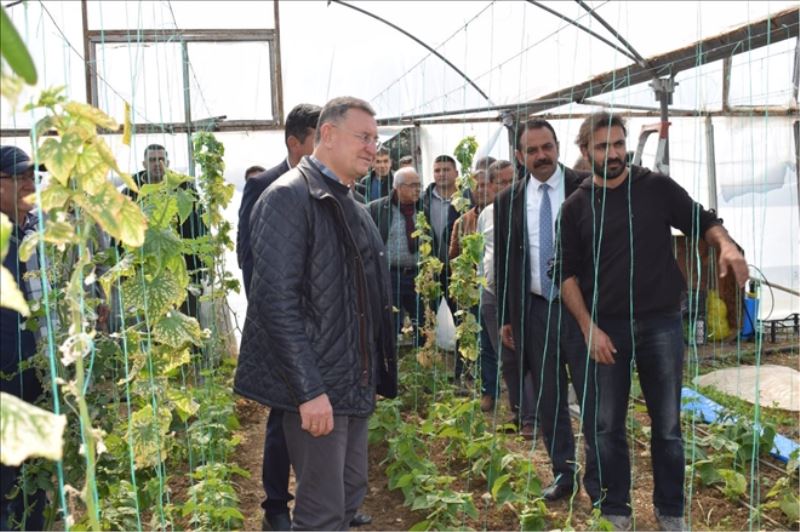 400 üreticiye fide desteği