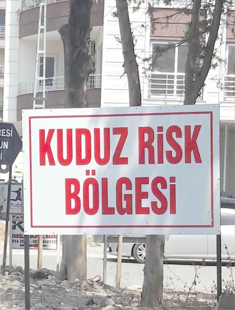 8 mahalleye ´kuduz karantinası´