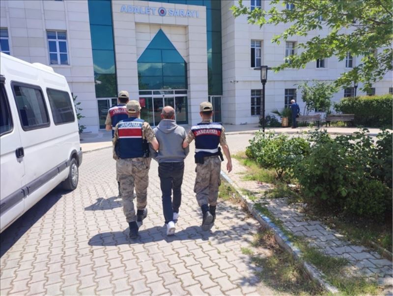 Terör örgütü üyesi yakalandı