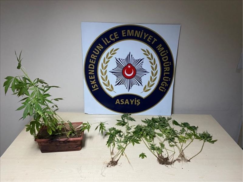 Aranan kişiler için 3 adrese operasyon