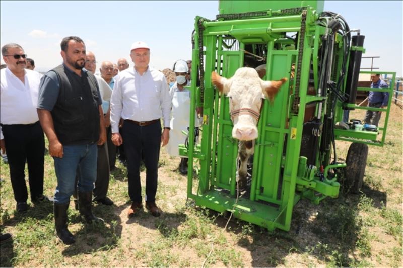 Belediyeden hayvan tırnak bakım makinası