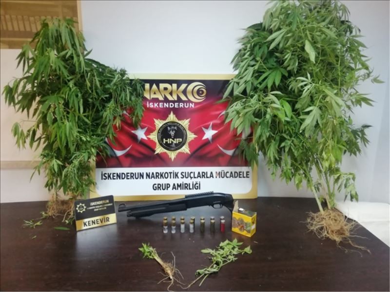 6 ilçede uyuşturucu operasyonu