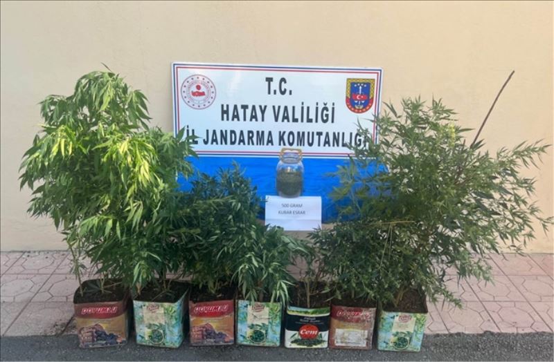 Uyuşturucuya 5 tutuklama