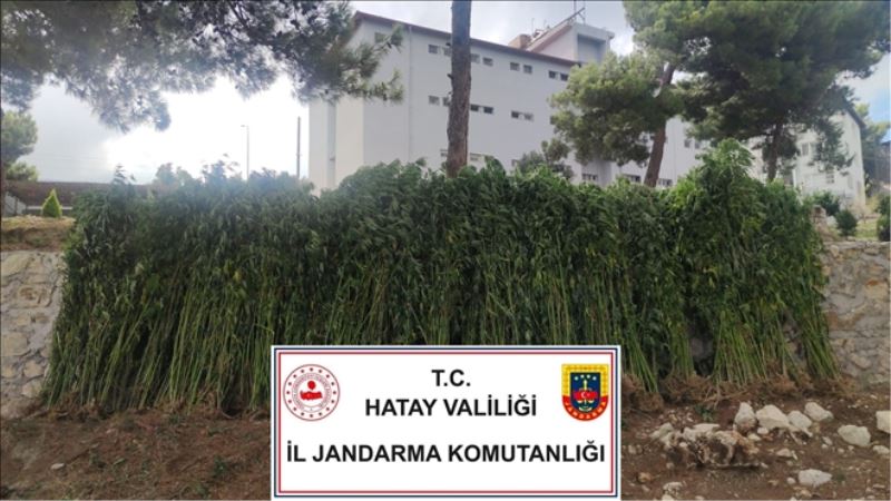 Uyuşturucu operasyonu, 16 gözaltı