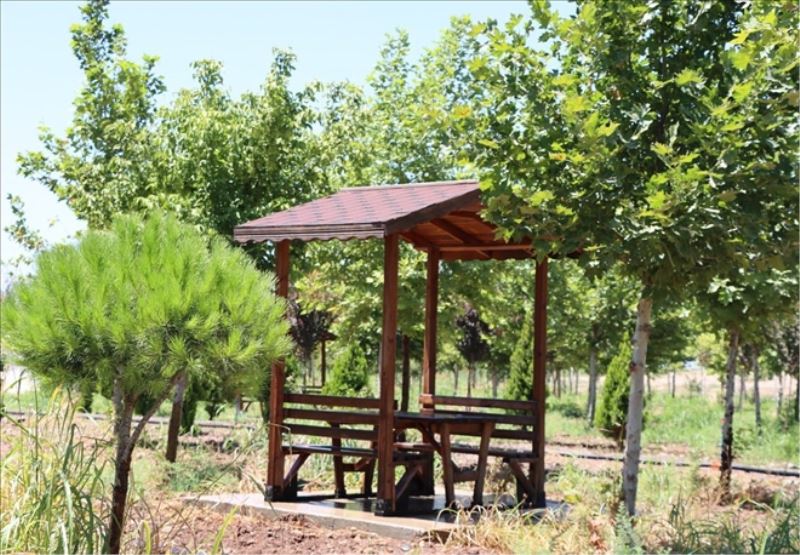Reyhanlı´ya Kent Ormanı