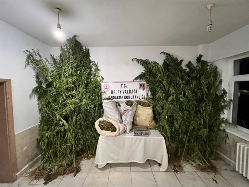 19 kilo esrara baskın