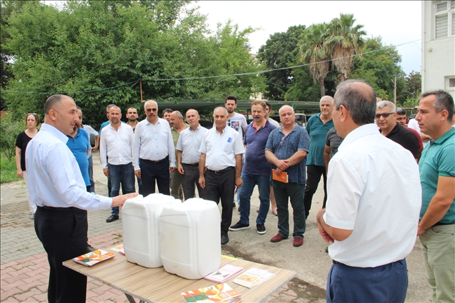Akdeniz meyve sineğiyle mücadele