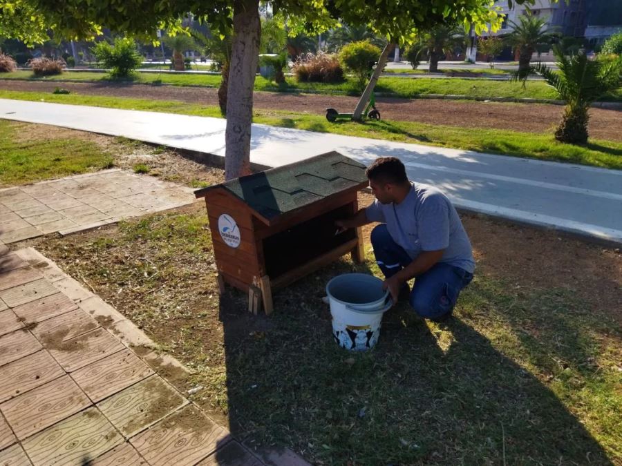 Sokak hayvanlarının beslenmesi sürüyor
