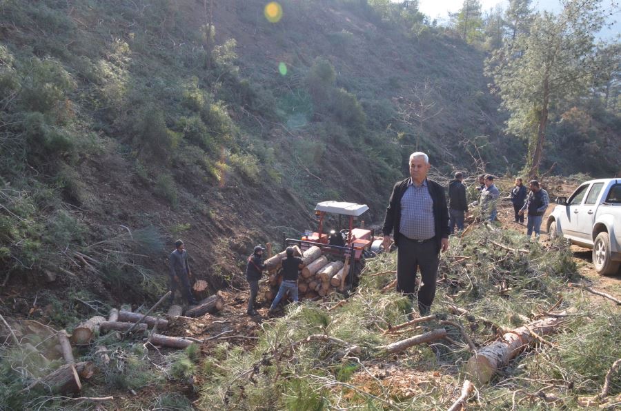 Denetimsiz ağaç kesimi mahalleyi susuz bıraktı