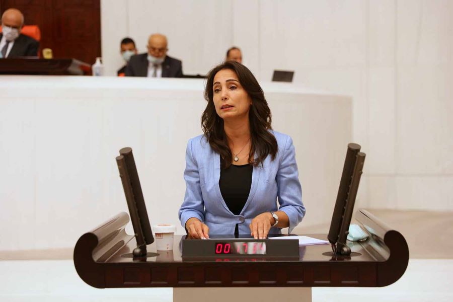 Kadın cinayetlerinin araştırılmasını istedi