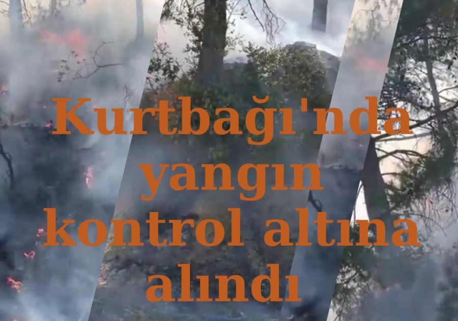 Kurtbağı’nda yangın kontrol altına alındı