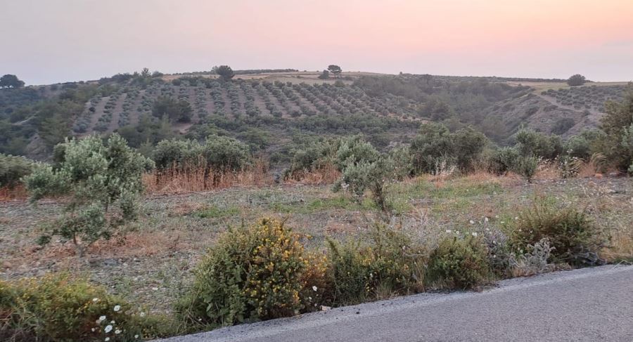 Güzelmansur: Kamulaştırma mağdur ediyor