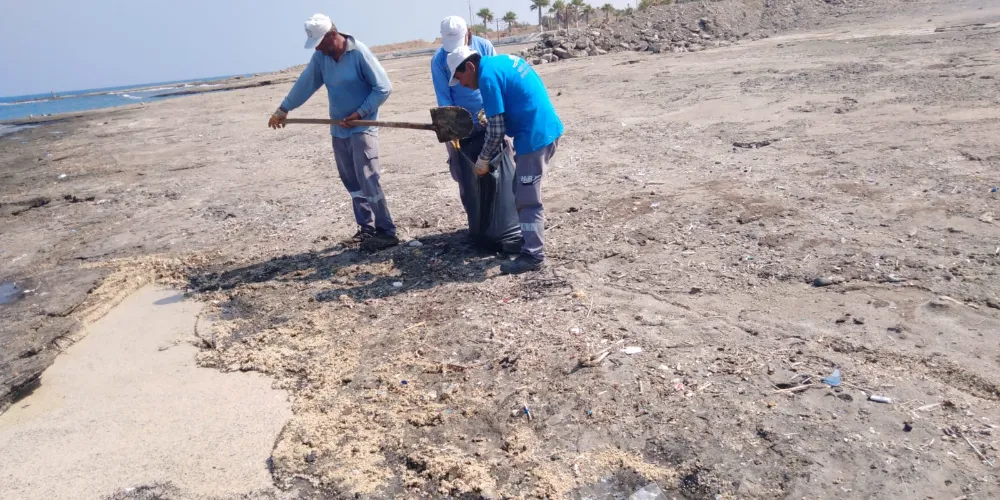 Arsuz’da petrol kirliliği 