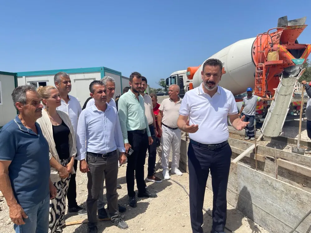 Belediye, sokak hayvanlarını sahiplendirecek