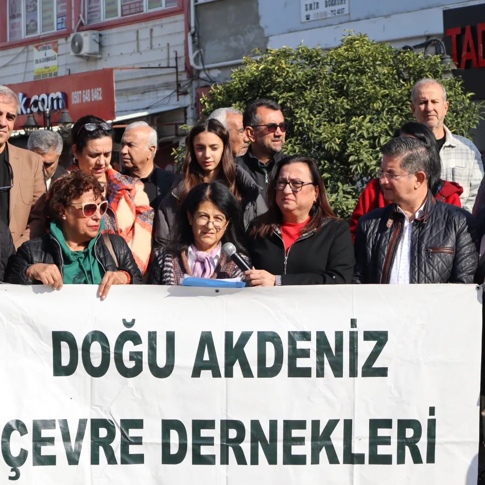 Orman arazisine 