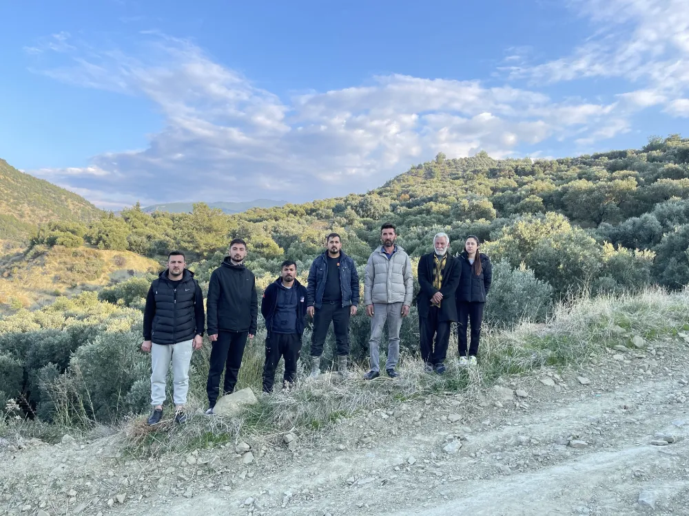 50 bin zeytin ağacı alanına 74 konut dikilecek