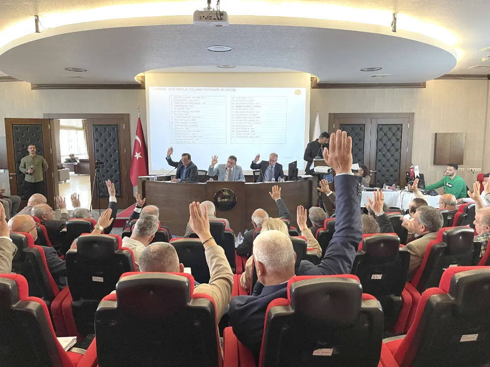 Meclis, komisyonlarını seçti